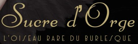 SUCRE D ORGE Logo partenaire artiste sucre d'orge